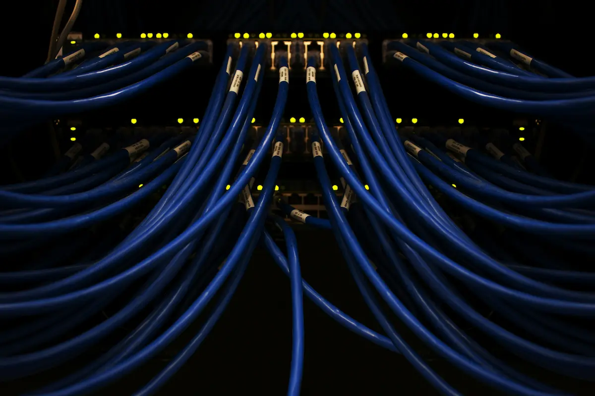 Preview for https://ggirelli.info/blog/2025/11/21/self-host