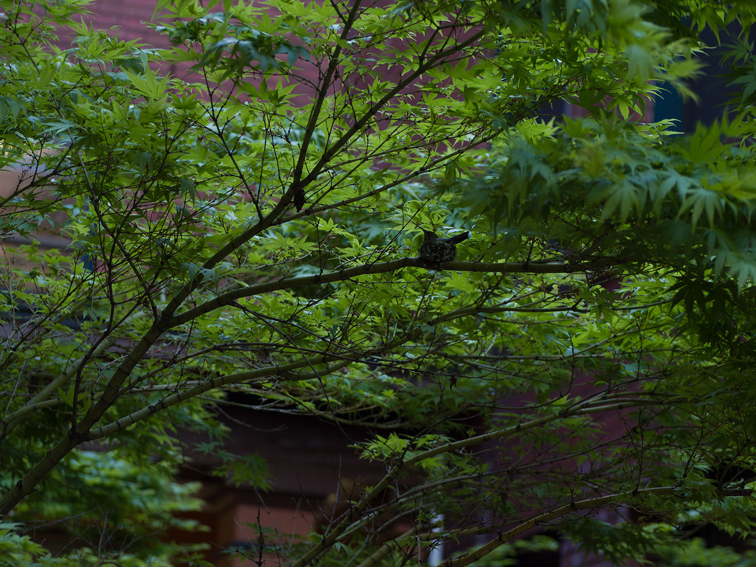 Preview for The web site of octothorpes