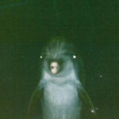 jonas wijne twitter avatar