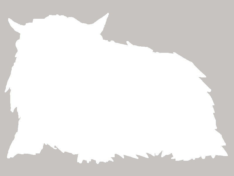 Preview for Alot of Transparency