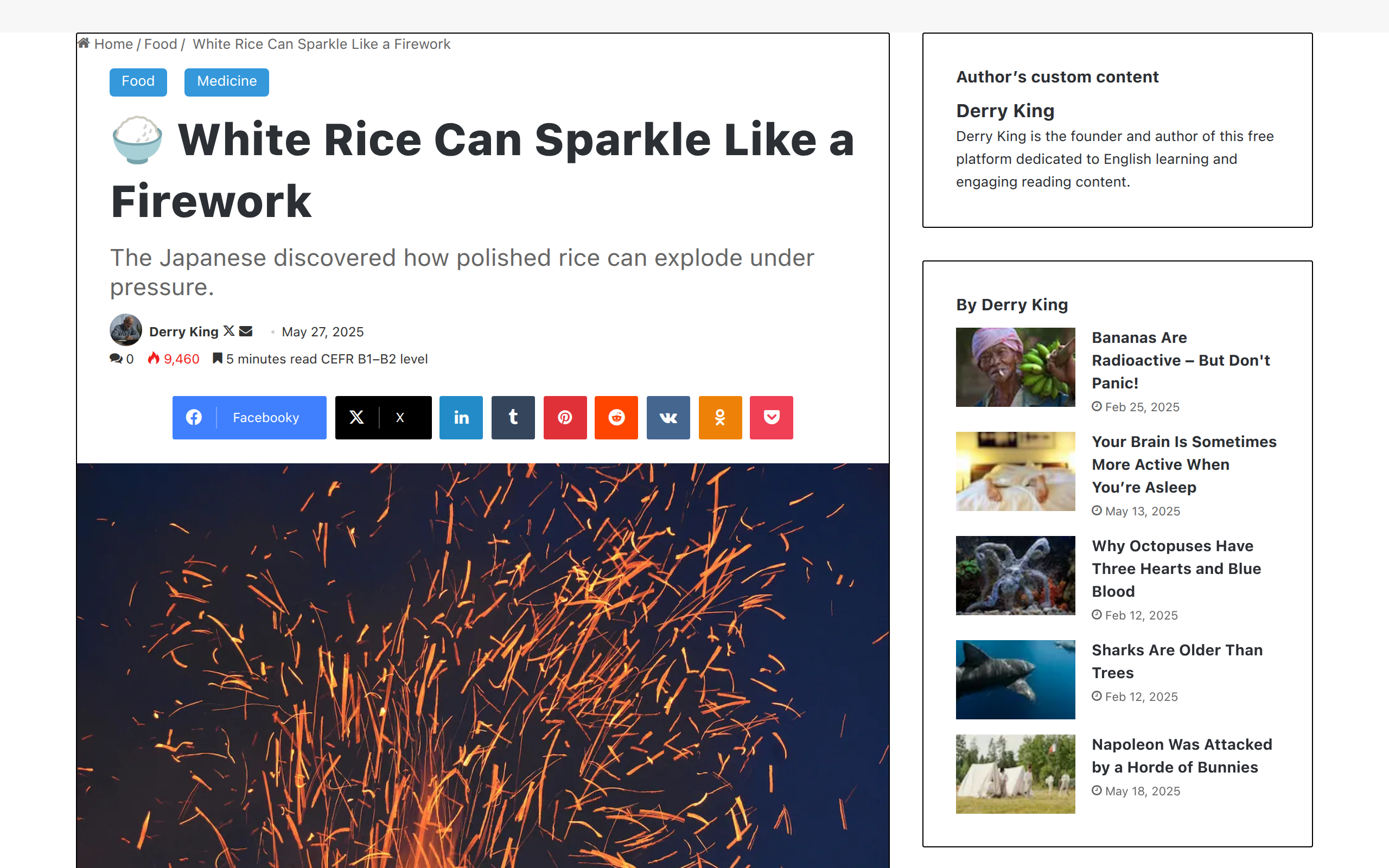 Article 8 Preview