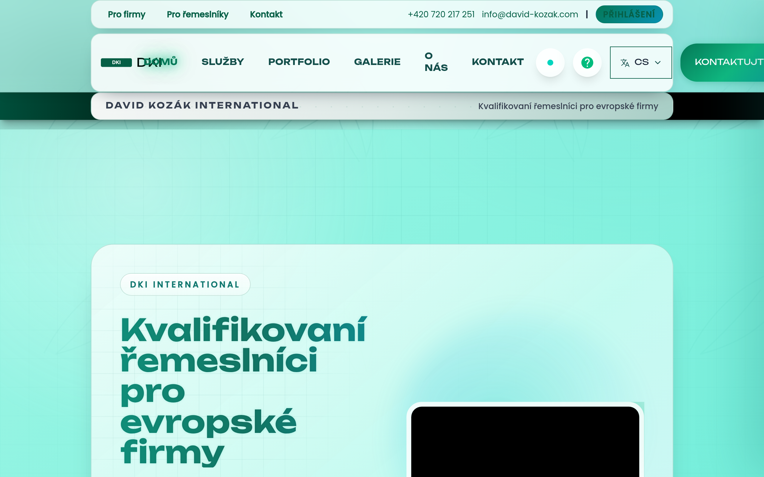 Náhled webu International