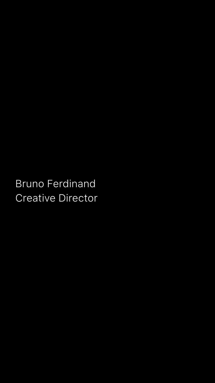 Bruno Ferdinand website