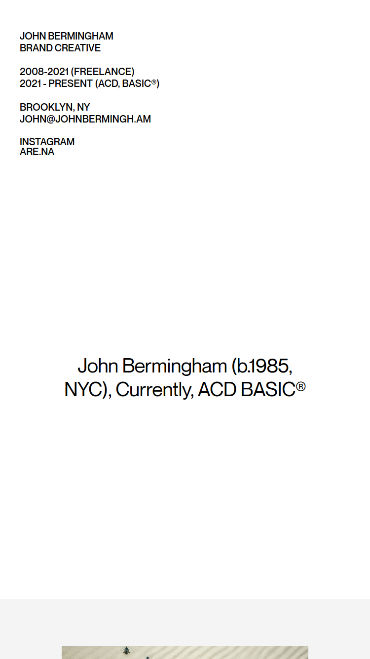 John Bermingham website