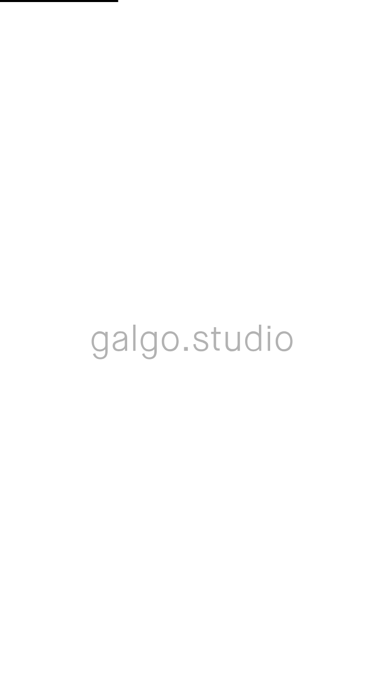 Galgo Studio website
