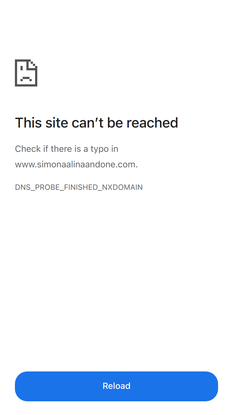 Simona Alina Andone website
