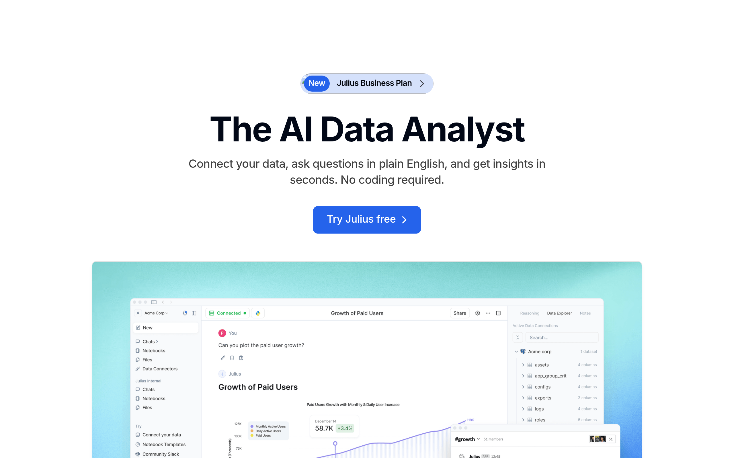 Julius AI website preview