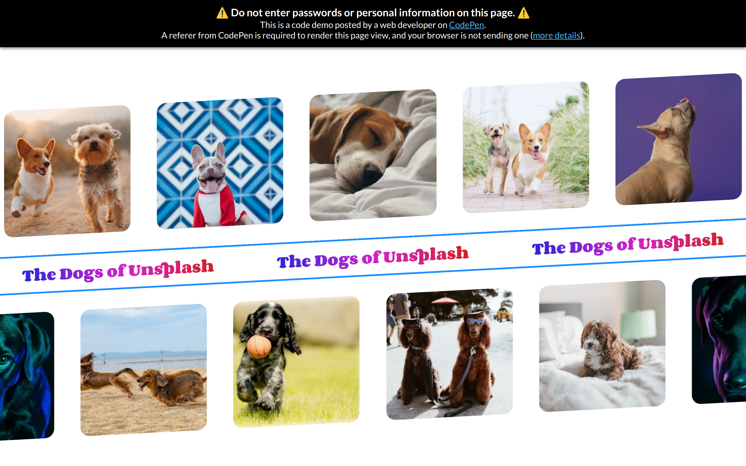The Dogs of Unsplash